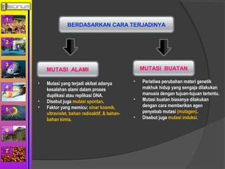 1 
2 
3 
4 
5 
6 
7 
BERDASARKAN CARA TERJADINYA 
MUTASI ALAMI MUTASI BUATAN 
• Peristiwa perubahan materi genetik 
makhuk hidup yang sengaja dilakukan 
manusia dengan tujuan-tujuan tertentu. 
• Mutasi buatan biasanya dilakukan 
dengan cara memberikan agen 
penyebab mutasi (mutagen). 
• Disebut juga mutasi induksi. 
• Mutasi yang terjadi akibat adanya 
kesalahan alami dalam proses 
duplikasi atau replikasi DNA. 
• Disebut juga mutasi spontan. 
• Faktor yang memicu: sinar kosmik, 
ultraviolet, bahan radioaktif, & bahan-bahan 
kimia. 
 