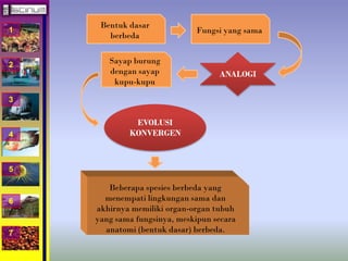 1 
2 
3 
4 
5 
6 
7 
Bentuk dasar 
berbeda 
Fungsi yang sama 
ANALOGI 
Sayap burung 
dengan sayap 
kupu-kupu 
EVOLUSI 
KONVERGEN 
Beberapa spesies berbeda yang 
menempati lingkungan sama dan 
akhirnya memiliki organ-organ tubuh 
yang sama fungsinya, meskipun secara 
anatomi (bentuk dasar) berbeda. 
 