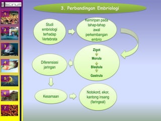 1 
2 
3 
4 
5 
6 
7 
3. Perbandingan Embriologi 
Studi 
embriologi 
terhadap 
Vertebrata 
Kemiripan pada 
tahap-tahap 
awal 
perkembangan 
embrio 
Zigot 
Morula 
Blastula 
Gastrula 
Diferensiasi 
jaringan 
Kesamaan 
Notokord, ekor, 
kantong insang 
(faringeal) 
 