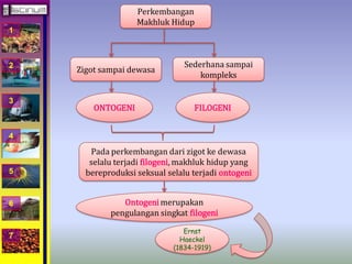 1 
2 
3 
4 
5 
6 
7 
Perkembangan 
Makhluk Hidup 
Zigot sampai dewasa 
Sederhana sampai 
kompleks 
ONTOGENI FILOGENI 
Pada perkembangan dari zigot ke dewasa 
selalu terjadi filogeni, makhluk hidup yang 
bereproduksi seksual selalu terjadi ontogeni 
Ontogenimerupakan 
pengulangan singkat filogeni 
Ernst 
Haeckel 
(1834-1919) 
 