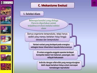 1 
2 
3 
4 
5 
6 
7 
C. Mekanisme Evolusi 
1. Seleksi Alam 
Beberapa kondisi yang diduga 
Darwin diperlukan untuk 
terjadinya evolusi melalui seleksi 
alam 
Semua organisme bereproduksi, tetapi hanya 
sedikit yang mampu bertahan hidup hingga 
dewasa dan bereproduksi 
Variasi-variasi yang terdapat pada orangtua 
sebagian besar diwariskan kepada keturunannya 
Di antara anggota-anggota spesies terdapat 
kompetisi dalam hal makanan, pasangan, dan 
wilayah kekuasaan 
Individu dengan sifat-sifat yang menguntungkan 
lebih dapat bertahan hidup untuk mencapai 
kematangan reproduksi 
 