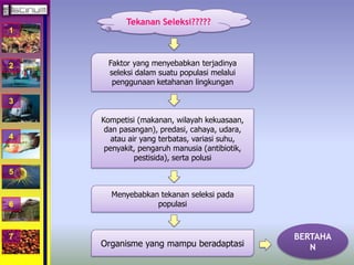 1 
2 
3 
4 
5 
6 
7 
Tekanan Seleksi????? 
Faktor yang menyebabkan terjadinya 
seleksi dalam suatu populasi melalui 
penggunaan ketahanan lingkungan 
Kompetisi (makanan, wilayah kekuasaan, 
dan pasangan), predasi, cahaya, udara, 
atau air yang terbatas, variasi suhu, 
penyakit, pengaruh manusia (antibiotik, 
pestisida), serta polusi 
Menyebabkan tekanan seleksi pada 
populasi 
Organisme yang mampu beradaptasi 
BERTAHA 
N 
 