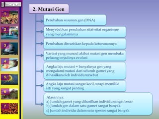 1 
2 
3 
4 
5 
6 
7 
2. Mutasi Gen 
Perubahan susunan gen (DNA) 
Menyebabkan perubahan sifat-sifat organisme 
yang mengalaminya 
Perubahan diwariskan kepada keturunannya 
Variasi yang muncul akibat mutasi gen membuka 
peluang terjadinya evolusi 
Angka laju mutasi = banyaknya gen yang 
mengalami mutasi dari seluruh gamet yang 
dihasilkan oleh individu tersebut 
Angka laju mutasi sangat kecil, tetapi memiliki 
arti yang sangat penting 
Alasannya: 
a) Jumlah gamet yang dihasilkan individu sangat besar 
b) Jumlah gen dalam satu gamet sangat banyak 
c) Jumlah individu dalam satu spesies sangat banyak 
 