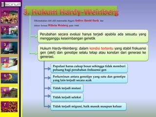 1 
2 
3 
4 
5 
6 
7 
Dikemukakan oleh ahli matematika Inggris Godfrey Harold Hardy dan 
dokter Jerman Wilhelm Weinberg pada 1908 
Perubahan secara evolusi hanya terjadi apabila ada sesuatu yang 
mengganggu keseimbangan genetik 
Hukum Hardy-Weinberg: dalam kondisi tertentu yang stabil frekuensi 
gen (alel) dan genotipe selalu tetap atau konstan dari generasi ke 
generasi. 
Populasi harus cukup besar sehingga tidak memberi 
peluang bagi perubahan frekuensi gen 
Perkawinan antara genotipe yang satu dan genotipe 
yang lain terjadi secara acak 
Tidak terjadi mutasi 
Tidak terjadi seleksi 
Tidak terjadi migrasi, baik masuk maupun keluar 
 