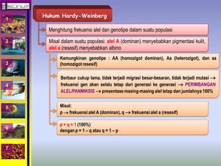 1 
2 
3 
4 
5 
6 
7 
Hukum Hardy-Weinberg 
Menghitung frekuensi alel dan genotipe dalam suatu populasi 
Misal dalam suatu populasi: alel A (dominan) menyebabkan pigmentasi kulit, 
alel a (resesif) menyebabkan albino 
Kemungkinan genotipe : AA (homozigot dominan), Aa (heterozigot), dan aa 
(homozigot resesif) 
Berbaur cukup lama, tidak terjadi migrasi besar-besaran, tidak terjadi mutasi  
frekuensi gen akan selalu tetap dari generasi ke generasi  PERIMBANGAN 
ALEL/PANMIKSIS  presentase masing-masing alel tetap dan jumlahnya 100% 
Misal: 
p  frekuensi alel A (dominan), q  frekuensi alel a (resesif) 
p + q = 1 (100%) 
dengan p = 1 – q atau q = 1 – p 
 
