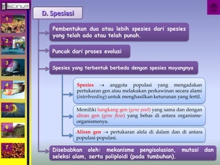 1 
2 
3 
4 
5 
6 
7 
D. Spesiasi 
Pembentukan dua atau lebih spesies dari spesies 
yang telah ada atau telah punah. 
Puncak dari proses evolusi 
Spesies yang terbentuk berbeda dengan spesies moyangnya 
Spesies  anggota populasi yang mengadakan 
pertukaran gen atau melakukan perkawinan secara alami 
(interbreeding) untuk menghasilkan keturunan yang fertil. 
Memiliki lungkang gen (gene pool) yang sama dan dengan 
aliran gen (gene flow) yang bebas di antara organisme-organismenya. 
Aliran gen  pertukaran alela di dalam dan di antara 
populasi-populasi. 
Disebabkan oleh: mekanisme pengisolasian, mutasi dan 
seleksi alam, serta poliploidi (pada tumbuhan). 
 