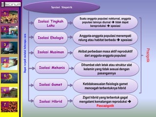 1 
2 
3 
4 
5 
6 
7 
Spesiasi Simpatrik 
Dapat terjadi melalui beberapa cara 
Suatu anggota populasi nokturnal, anggota 
populasi lainnya diurnal  tidak dapat 
bereproduksi  spesiasi 
Anggota-anggota populasi menempati 
relung atau habitat berbeda  spesiasi 
Akibat perbedaan masa aktif reproduktif 
dari anggota-anggota populasi 
Dihambat oleh letak atau struktur alat 
kelamin yang tidak sesuai dengan 
pasangannya 
Ketidaksesuaian fisiologis gamet 
mencegah terbentuknya hibrid 
Isolasi Tingkah 
Laku 
Isolasi Ekologis 
Isolasi Musiman 
Isolasi Mekanis 
Isolasi Gamet 
Isolasi Hibrid 
Zigot hibrid yang terbentuk gagal 
mengalami kematangan reproduksi  
Pascazigotik 
Prazigotik 
 
