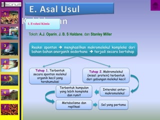 1 
2 
3 
4 
5 
6 
7 
1. Evolusi Kimia 
Tokoh: A.J. Oparin, J. B. S Haldane, dan Stanley Miller 
Reaksi spontan  menghasilkan makromolekul kompleks dari 
bahan-bahan anorganik sederhana  terjadi secara bertahap 
Tahap 1. Terbentuk 
secara spontan molekul 
organik kecil yang 
terakumulasi 
Tahap 2. Makromolekul 
(misal: protein) terbentuk 
dari gabungan molekul kecil 
Interaksi antar-makromolekul 
Terbentuk kumpulan 
yang lebih kompleks 
dan rumit 
Metabolisme dan 
replikasi 
Sel yang pertama 
 