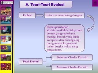 1 
2 
3 
4 
5 
6 
7 
A. Teori-Teori Evolusi 
Evolusi evolvere = membuka gulungan 
Proses perubahan 
struktur makhluk hidup dari 
bentuk yang sederhana 
menjadi bentuk yang lebih 
kompleks dan berlangsung 
dari generasi ke generasi 
dalam jangka waktu yang 
sangat lama. 
Teori Evolusi 
Sebelum Charles Darwin 
Menurut Charles Darwin 
 