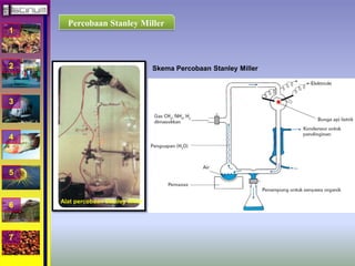 1 
2 
3 
4 
5 
6 
7 
Percobaan Stanley Miller 
Alat percobaan Stanley Miller 
Skema Percobaan Stanley Miller 
 
