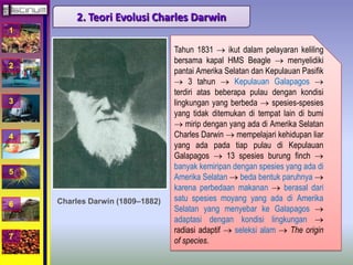 1 
2 
3 
4 
5 
6 
7 
2. Teori Evolusi Charles Darwin 
Tahun 1831  ikut dalam pelayaran keliling 
bersama kapal HMS Beagle  menyelidiki 
pantai Amerika Selatan dan Kepulauan Pasifik 
 3 tahun  Kepulauan Galapagos  
terdiri atas beberapa pulau dengan kondisi 
lingkungan yang berbeda  spesies-spesies 
yang tidak ditemukan di tempat lain di bumi 
 mirip dengan yang ada di Amerika Selatan 
Charles Darwin  mempelajari kehidupan liar 
yang ada pada tiap pulau di Kepulauan 
Galapagos  13 spesies burung finch  
banyak kemiripan dengan spesies yang ada di 
Amerika Selatan  beda bentuk paruhnya  
karena perbedaan makanan  berasal dari 
satu spesies moyang yang ada di Amerika 
Selatan yang menyebar ke Galapagos  
adaptasi dengan kondisi lingkungan  
radiasi adaptif  seleksi alam  The origin 
of species. 
Charles Darwin (1809–1882) 
 