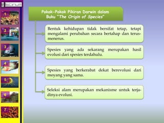 1 
2 
3 
4 
5 
6 
7 
Pokok-Pokok Pikiran Darwin dalam 
Buku ”The Origin of Species” 
Bentuk kehidupan tidak bersifat tetap, tetapi 
mengalami perubahan secara bertahap dan terus-menerus. 
Spesies yang ada sekarang merupakan hasil 
evolusi dari spesies terdahulu. 
Spesies yang berkerabat dekat berevolusi dari 
moyang yang sama. 
Seleksi alam merupakan mekanisme untuk terja-dinya 
evolusi. 
 