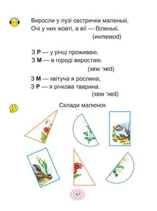 Âèðîñëè ó ëóç³ ñåñòðè÷êè ìàëåíüê³,
Î÷³ ó íèõ æîâò³, à â³¿ — á³ëåíüê³.
Ç Ð — ó ð³÷ö³ ïðîæèâàþ,
Ç Ì â ãîðîä³ âèðîñòàþ.—
(ðîìàøêè)
Ç Ì êâ³òó÷à ÿ ðîñëèíà,
Ç Ð ÿ ð³÷êîâà òâàðèíà.
—
—
(ðàê,ìàê)
(ðàê,ìàê)
57
Ñêëàäè ìàëþíîê
 