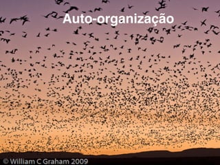Auto-organização
 