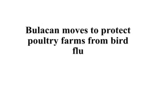 Bulacan moves to protect
poultry farms from bird
flu
 