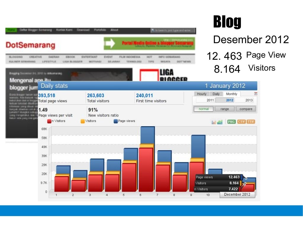 Laporan Bulan januari 2013