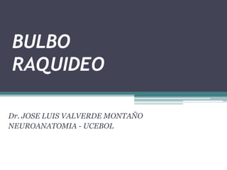 BULBO
RAQUIDEO
Dr. JOSE LUIS VALVERDE MONTAÑO
NEUROANATOMIA - UCEBOL
 