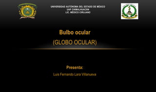 Bulbo ocular
(GLOBO OCULAR)
Presenta:
Luis Fernando Lara Villanueva
UNIVERSIDAD AUTÓNOMA DEL ESTADO DE MÉXICO
UAP CHIMALHUACÁN
LIC. MÉDICO CIRUJANO
 