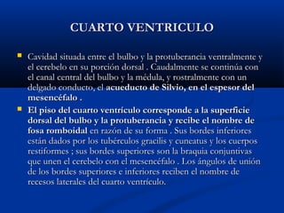CUARTO VENTRICULOCUARTO VENTRICULO
 Cavidad situada entre el bulbo y la protuberancia ventralmente yCavidad situada entre el bulbo y la protuberancia ventralmente y
el cerebelo en su porción dorsal . Caudalmente se continúa conel cerebelo en su porción dorsal . Caudalmente se continúa con
el canal central del bulbo y la médula, y rostralmente con unel canal central del bulbo y la médula, y rostralmente con un
delgado conducto, eldelgado conducto, el acueducto de Silvio, en el espesor delacueducto de Silvio, en el espesor del
mesencéfalo .mesencéfalo .
 El piso del cuarto ventrículo corresponde a la superficieEl piso del cuarto ventrículo corresponde a la superficie
dorsal del bulbo y la protuberancia y recibe el nombre dedorsal del bulbo y la protuberancia y recibe el nombre de
fosa romboidalfosa romboidal en razón de su forma . Sus bordes inferioresen razón de su forma . Sus bordes inferiores
están dados por los tubérculos gracilis y cuneatus y los cuerposestán dados por los tubérculos gracilis y cuneatus y los cuerpos
restiformes ; sus bordes superiores son la braquia conjuntivasrestiformes ; sus bordes superiores son la braquia conjuntivas
que unen el cerebelo con el mesencéfalo . Los ángulos de uniónque unen el cerebelo con el mesencéfalo . Los ángulos de unión
de los bordes superiores e inferiores reciben el nombre dede los bordes superiores e inferiores reciben el nombre de
recesos laterales del cuarto ventrículo.recesos laterales del cuarto ventrículo.
 