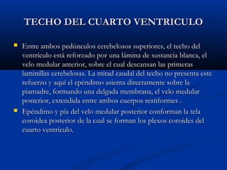 TECHO DEL CUARTO VENTRICULOTECHO DEL CUARTO VENTRICULO
 Entre ambos pedúnculos cerebelosos superiores, el techo delEntre ambos pedúnculos cerebelosos superiores, el techo del
ventrículo está reforzado por una lámina de sustancia blanca, elventrículo está reforzado por una lámina de sustancia blanca, el
velo medular anterior, sobre el cual descansan las primerasvelo medular anterior, sobre el cual descansan las primeras
laminillas cerebelosas. La mitad caudal del techo no presenta estelaminillas cerebelosas. La mitad caudal del techo no presenta este
refuerzo y aquí el epéndimo asienta directamente sobre larefuerzo y aquí el epéndimo asienta directamente sobre la
piamadre, formando una delgada membrana, el velo medularpiamadre, formando una delgada membrana, el velo medular
posterior, extendida entre ambos cuerpos restiformes .posterior, extendida entre ambos cuerpos restiformes .
 Epéndimo y pía del velo medular posterior conforman la telaEpéndimo y pía del velo medular posterior conforman la tela
coroidea posterior de la cual se forman los plexos coroides delcoroidea posterior de la cual se forman los plexos coroides del
cuarto ventrículo.cuarto ventrículo.
 