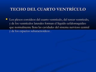 TECHO DEL CUARTO VENTRÍCULOTECHO DEL CUARTO VENTRÍCULO
 Los plexos coroideos del cuarto ventrículo, del tercer ventrículo,Los plexos coroideos del cuarto ventrículo, del tercer ventrículo,
y de los ventrículos laterales forman el líquido cefalorraquideoy de los ventrículos laterales forman el líquido cefalorraquideo
que normalmente llena las cavidades del sistema nervioso centralque normalmente llena las cavidades del sistema nervioso central
y de los espacios subaracnoideos .y de los espacios subaracnoideos .
 