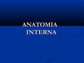 ANATOMIAANATOMIA
INTERNAINTERNA
 