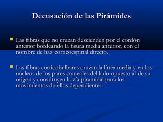 Decusación de las PirámidesDecusación de las Pirámides
 Las fibras que no cruzan descienden por el cordónLas fibras que no cruzan descienden por el cordón
anterior bordeando la fisura media anterior, con elanterior bordeando la fisura media anterior, con el
nombre de haz corticoespinal directo.nombre de haz corticoespinal directo.
 Las fibras corticobulbares cruzan la línea media y en losLas fibras corticobulbares cruzan la línea media y en los
núcleos de los pares craneales del lado opuesto al de sunúcleos de los pares craneales del lado opuesto al de su
origen y constituyen la vía piramidal para losorigen y constituyen la vía piramidal para los
movimientos de ellos dependientes.movimientos de ellos dependientes.
 