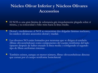 Núcleo Olivar Inferior y Núcleos Olivares
Accesorios
 El NOI es una gran lámina de substancia gris irregularmente plegada sobre sí
misma, y su concavidad o hilio mira hacia la línea media.
 Dorsal y medialmente al NOI se encuentran dos delgadas láminas nucleares,
los núcleos olivares accesorios dorsal y medial.
 Los diversos NO están formados por neuronas que se dirigen al cerebelo
(fibras olivocerebelosas) como componentes del cuerpo restiforme del lado
opuesto después de haber cruzado la línea media y configurado el segundo
tipo de fibras arciformes internas.
 También existen, aunque en menor número, fibras olivocerebelosas directas
que cursan por el cuerpo restiforme homolateral.
 
