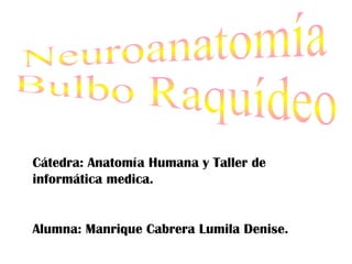 Neuroanatomía Bulbo Raquídeo Cátedra: Anatomía Humana y Taller de informática medica. Alumna: Manrique Cabrera Lumila Denise. 