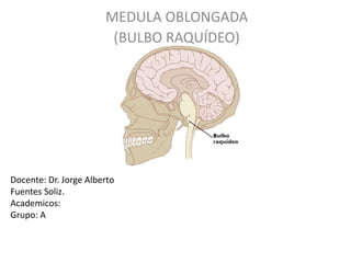 Docente: Dr. Jorge Alberto
Fuentes Soliz.
Academicos:
Grupo: A
MEDULA OBLONGADA
(BULBO RAQUÍDEO)
 