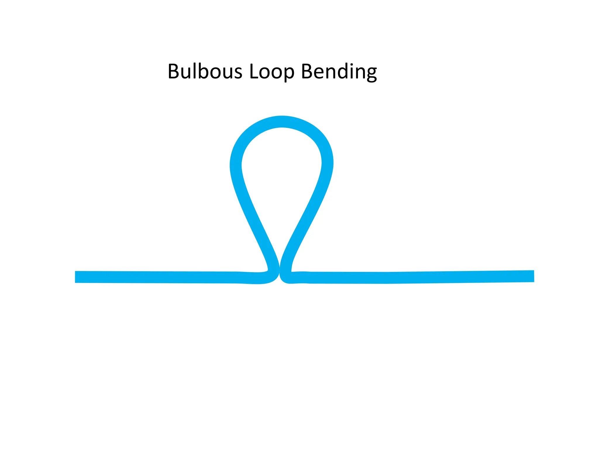 Bulbous Loop Bending