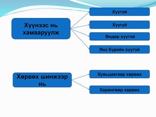 Хүүнээс нь
хамааруулж
Хүүтэй
Хүүгүй
Өндөр хүүтэй
Янз бүрийн хүүтэй
Хөрвөх шинжээр
нь
Хувьцаагаар хөрвөх
Хөрөнгөөр хөрвөх
 