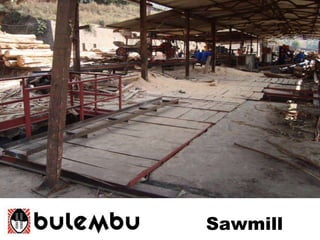 Sawmill