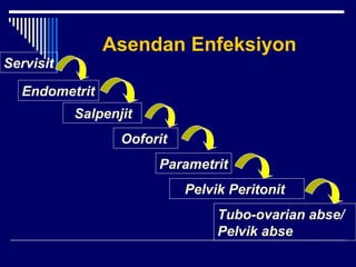 Asendan Enfeksiyon
Servisit
Endometrit
Ooforit
Pelvik Peritonit
Salpenjit
Parametrit
Tubo-ovarian abse/
Pelvik abse
 