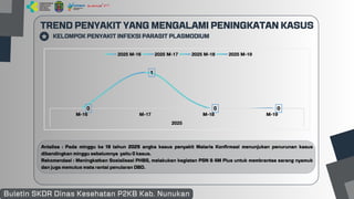 Buletin SKDR Dinkes P2KB Kabupaten Nunukan Minggu ke 19 Tahun 2025.pdf