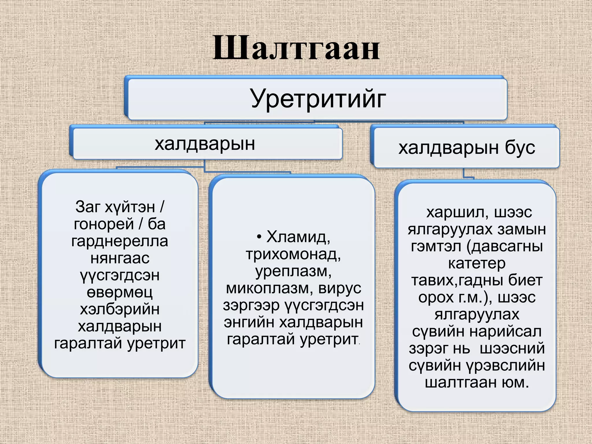 Шалтгаан
                      Уретритийг
            халдварын                   халдварын бус

   Заг хүйтэн /                           харшил, шээс
   гонорей / ба                         ялгаруулах замын
  гарднерелла           • Хламид,
                      трихомонад,       гэмтэл (давсагны
     нянгаас                                 катетер
    үүсгэгдсэн         уреплазм,
                   микоплазм, вирус     тавих,гадны биет
     өвөрмөц                             орох г.м.), шээс
    хэлбэрийн      зэргээр үүсгэгдсэн
                   энгийн халдварын        ялгаруулах
    халдварын                           сүвийн нарийсал
гаралтай уретрит    гаралтай уретрит.
                                        зэрэг нь шээсний
                                        сүвийн үрэвслийн
                                          шалтгаан юм.
 
