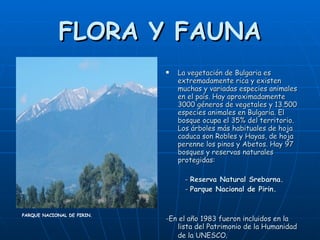 FLORA Y FAUNA La vegetación de Bulgaria es extremadamente rica y existen muchas y variadas especies animales en el país. Hay aproximadamente 3000 géneros de vegetales y 13.500 especies animales en Bulgaria. El bosque ocupa el 35% del territorio. Los árboles más habituales de hoja caduca son Robles y Hayas, de hoja perenne los pinos y Abetos. Hay 97 bosques y reservas naturales protegidas: -  Reserva Natural Srebarna. -  Parque Nacional de Pirin. -En el año 1983 fueron incluidos en la lista del Patrimonio de la Humanidad de la UNESCO.   PARQUE NACIONAL DE PIRIN. 