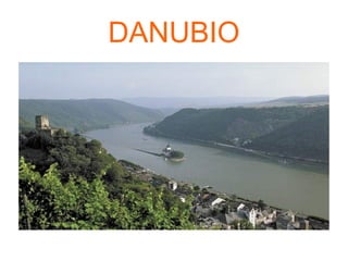 DANUBIO
 