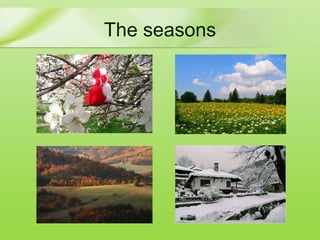 The seasons 
