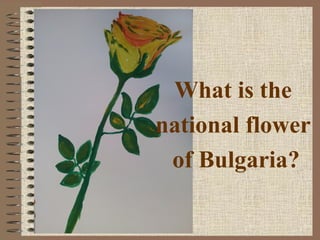 What is the
national flower
of Bulgaria?
 