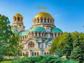 Sofia
 