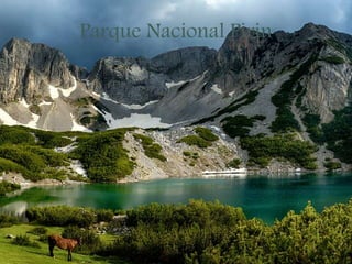 Parque Nacional Pirin
 