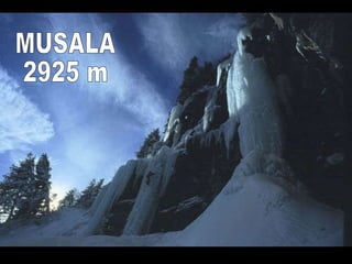 MUSALA 2925 m 