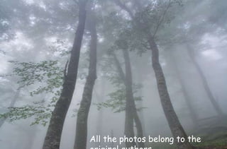 All the photos belong to the
 