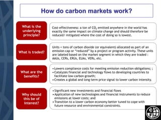 Financing Climate Change MitigationScale of financing needs for mitigation estimated by UNFCCC at $200 billion annuallyConcessional resources are very limited for low carbon investments in developing countries and transition economiesMobilizing private sector finance is crucialMarket mechanisms can play a central role