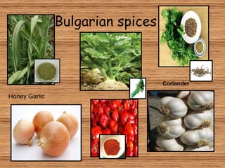 Bulgarian spices Honey Garlic  Coriander Paprika 