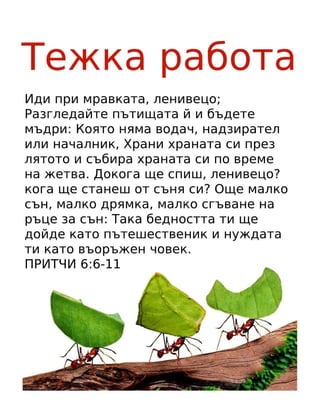 Bulgarian Motivational Diligence Tract.pdf