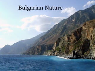 Bulgarian Nature 