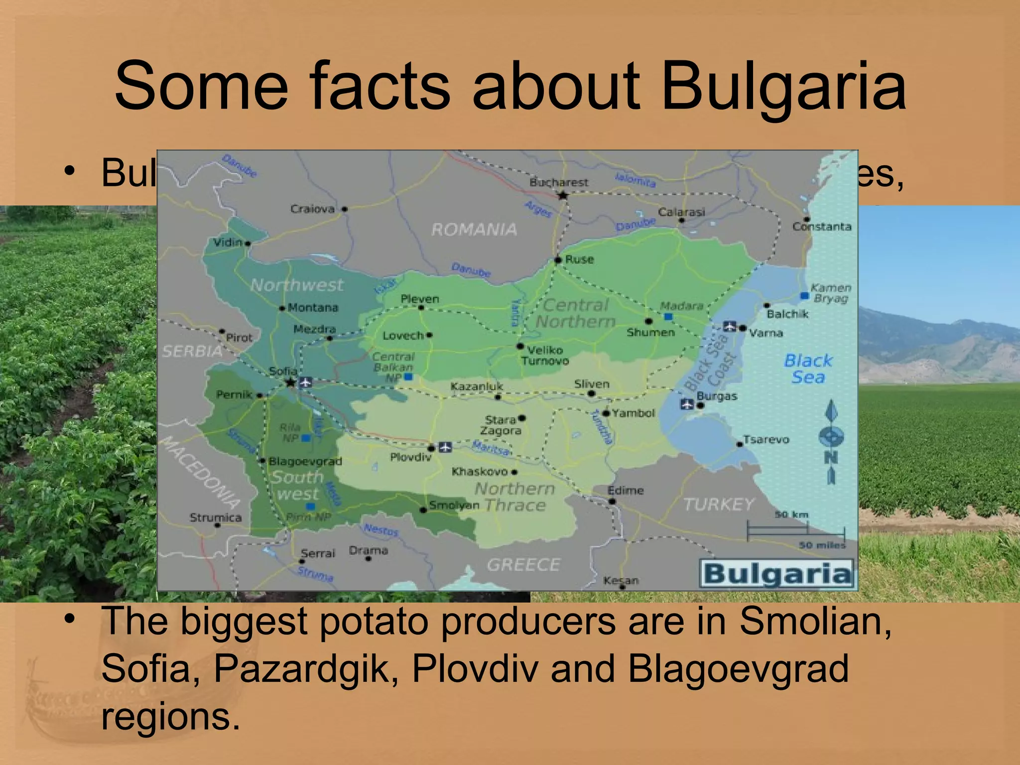 Some facts about Bulgaria
• Bulgaria is a major supplier of grapes, apples,
  and tomatoes to Europe and the former Soviet
  Union. Potatoes and paprika are also important
  crops. Production in 2004 included (in thousands
  of tons): grapes, 400; apples, 30; tomatoes, 400;
  and potatoes, 574.
• According to the data of ‘Agro-statistic’ in 2002
  the total output of potatoes was 627,000 tonnes
  from 52,000 hectares.
• The biggest potato producers are in Smolian,
  Sofia, Pazardgik, Plovdiv and Blagoevgrad
  regions.
 