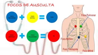 FOCOS DE AUSCULTA 
FOCO 
TRICÚSPIDE 
FOCO 
MITRAL 
TUM 
FOCO 
AÓRTICO 
FOCO 
PULMONAR 
TÁ 
 